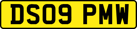 DS09PMW