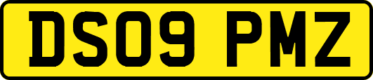 DS09PMZ