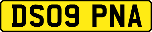 DS09PNA