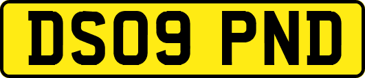 DS09PND