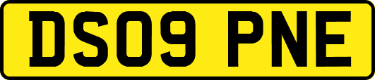 DS09PNE