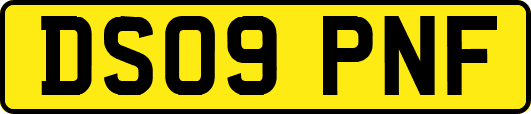 DS09PNF