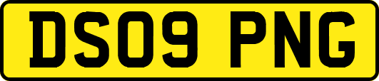 DS09PNG