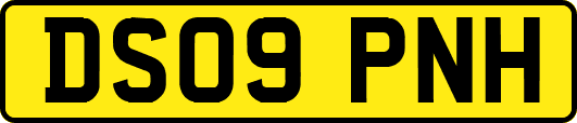 DS09PNH