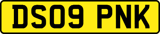 DS09PNK