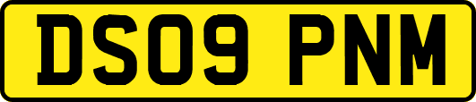DS09PNM