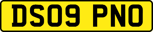 DS09PNO