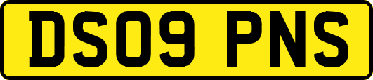 DS09PNS