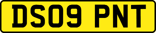 DS09PNT