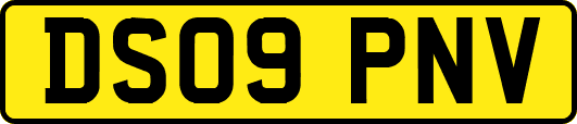 DS09PNV