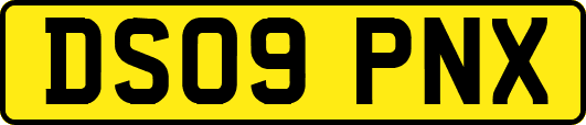 DS09PNX