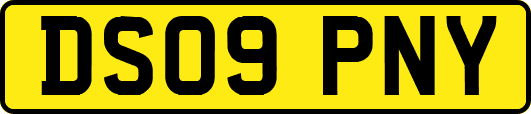 DS09PNY