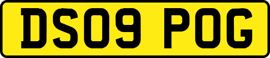DS09POG