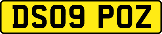 DS09POZ
