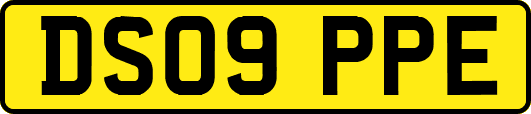 DS09PPE