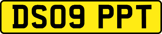 DS09PPT