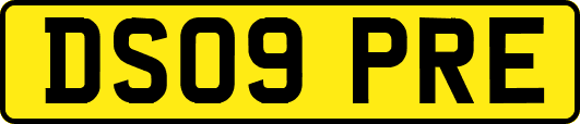DS09PRE