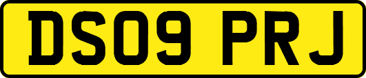DS09PRJ