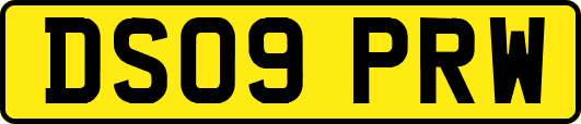 DS09PRW