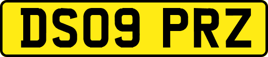 DS09PRZ