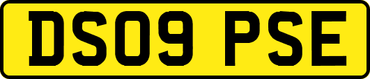 DS09PSE