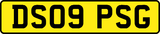 DS09PSG