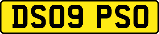 DS09PSO