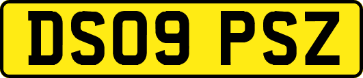 DS09PSZ