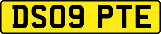 DS09PTE