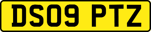 DS09PTZ