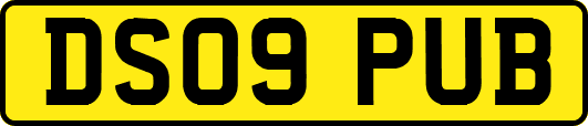 DS09PUB