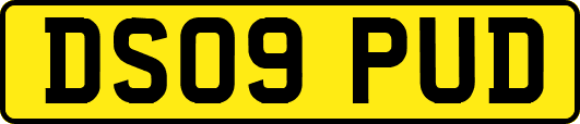 DS09PUD