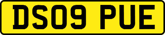 DS09PUE