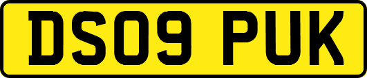 DS09PUK