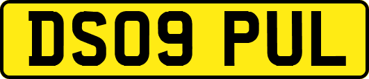 DS09PUL