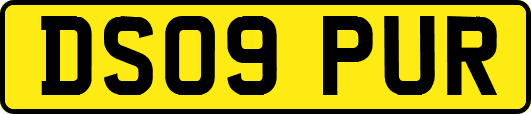 DS09PUR