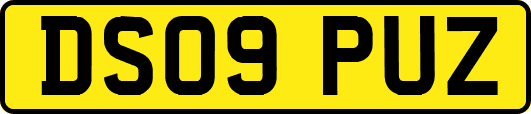DS09PUZ