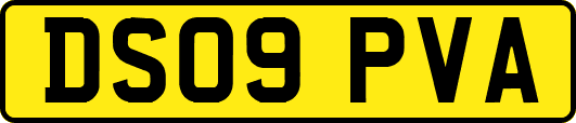 DS09PVA