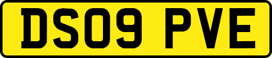DS09PVE
