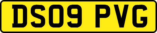 DS09PVG