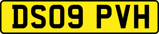 DS09PVH