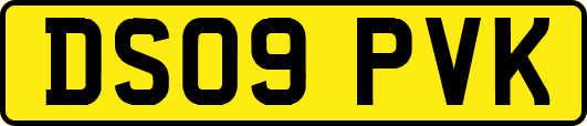 DS09PVK