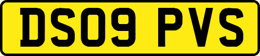 DS09PVS