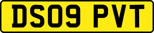 DS09PVT