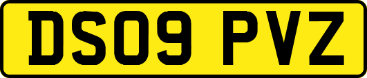 DS09PVZ