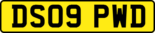 DS09PWD