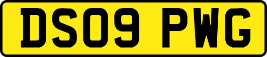 DS09PWG