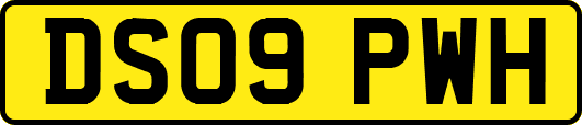 DS09PWH