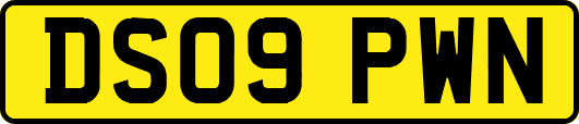 DS09PWN