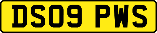 DS09PWS
